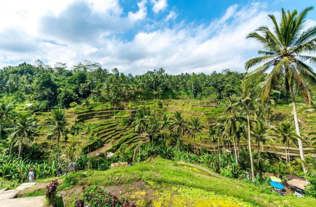 Caldera Hotel & Restaurant BALI Eksteriør bilde